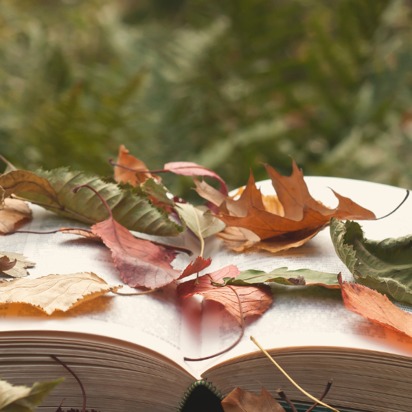 The Power of Storytelling: How to Craft Narratives That Resonate