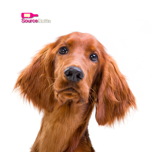 Why Aren’t the Call Outs in the Subject Line in my Alert?